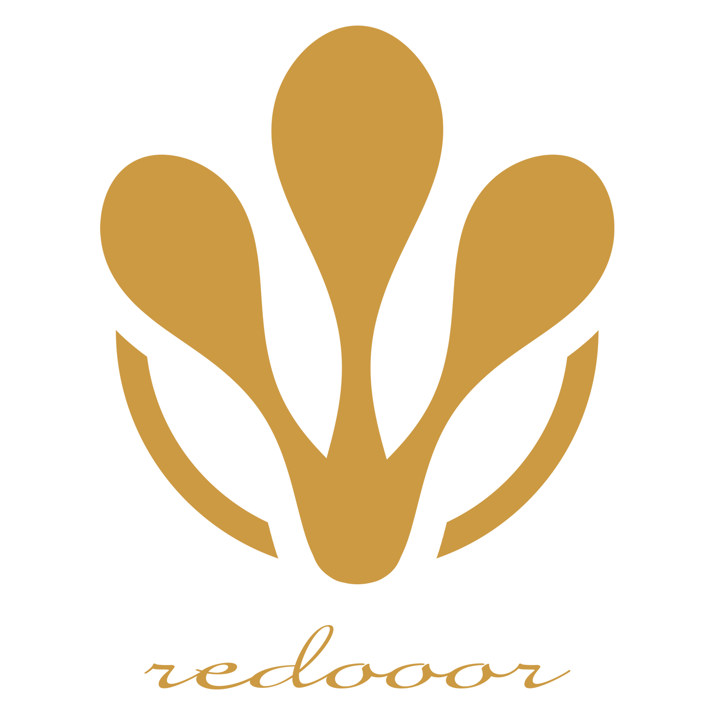 Redooor Web Website Design Development Singapore